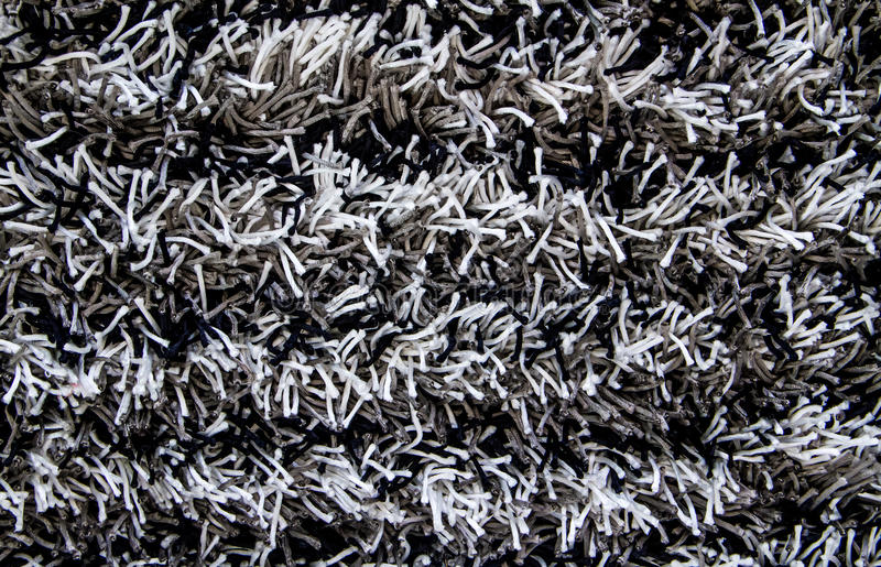 Floor Black And White Carpet Texture Imposing On Floor Intended For Stock Photo Image Of Guest Front Backdrop 57352648 3 Black And White Carpet Texture