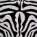 Floor Black And White Carpet Texture Unique On Floor For 03 Zebra Animal Print Online 11 Black And White Carpet Texture