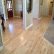 Floor Maple Hardwood Floor Charming On Inside Gallery Full Circle Floors Indianapolis 4 Maple Hardwood Floor