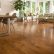 Floor Maple Hardwood Floor Creative On In Stylish Flooring For Toffee Gaylord Floors Remodel 16 19 Maple Hardwood Floor