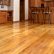 Maple Hardwood Floor Modern On In Charming Ideas Wood Flooring All 5
