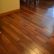 Floor Maple Hardwood Floor Stylish On Regarding Flooring Floors Enterprise Wood Products 18 Maple Hardwood Floor