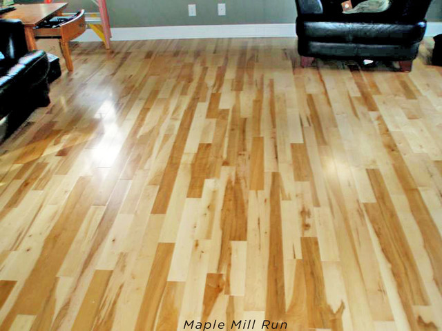 Floor Maple Hardwood Floor Unique On In Flooring Contemporary Living Room Other By 20 Maple Hardwood Floor
