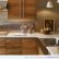 Kitchen Modern Wood Kitchen Cabinets Astonishing On With Furniture Review Cabinet Design 5 Modern Wood Kitchen Cabinets
