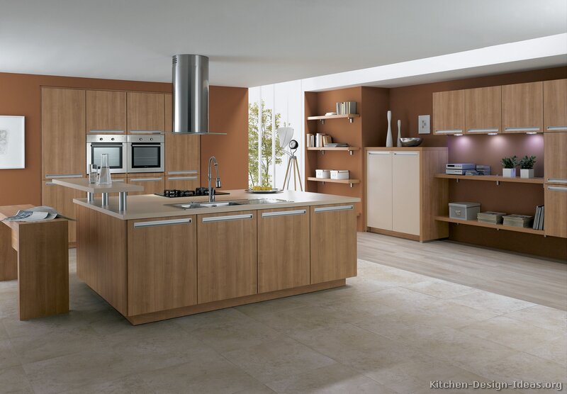 Kitchen Modern Wood Kitchen Cabinets Modest On With Furniture Review Light Cream 17 Modern Wood Kitchen Cabinets
