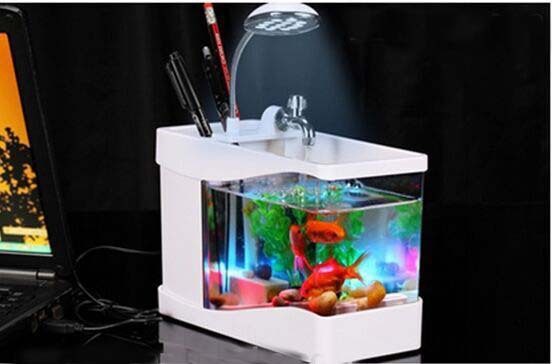 Other Office Fish Tanks Charming On Other Throughout Home And Gift 3 In 1 Mini Tank Usb Aquarium Manufacture 26 Office Fish Tanks