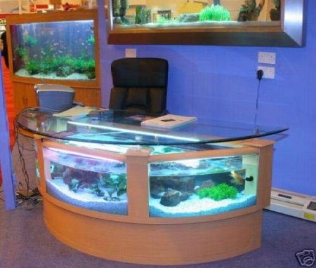 Other Office Fish Tanks Charming On Other With Tank My Next Fishtank P Amazon Com 110 Gal 4 Office Fish Tanks
