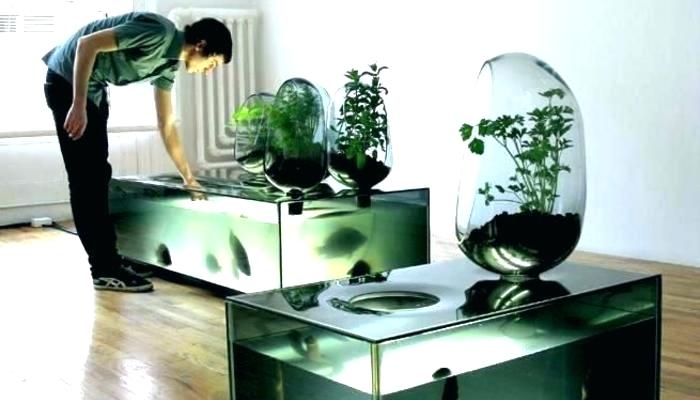 Other Office Fish Tanks Creative On Other Pertaining To Desk Tank Decorative Aquarium In 21 Office Fish Tanks