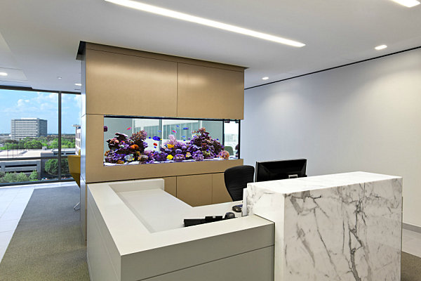 Other Office Fish Tanks Delightful On Other And 10 Cool For Your 5 Office Fish Tanks