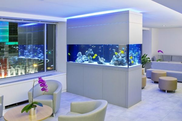 Other Office Fish Tanks Exquisite On Other Throughout 10 Cool For Your Waiting Rooms Aquariums And 18 Office Fish Tanks