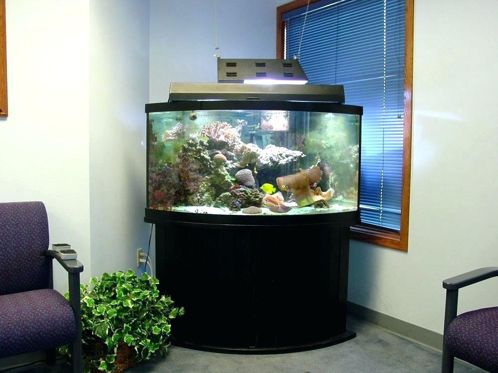 Other Office Fish Tanks Fine On Other Intended Aquarium Gallery Of 8 Office Fish Tanks