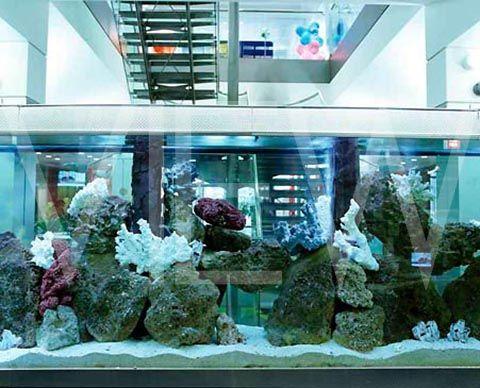 Other Office Fish Tanks Interesting On Other Regarding Tank Bloomberg L P Photo Glassdoor 19 Office Fish Tanks