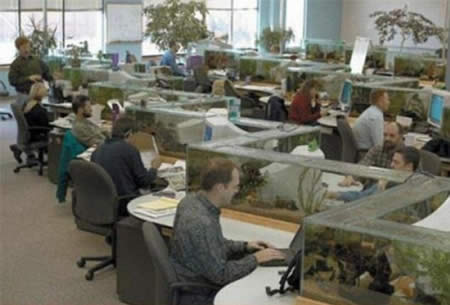 Other Office Fish Tanks Marvelous On Other Intended 10 Cool And Crazy CRAZY PICS 22 Office Fish Tanks