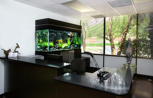 Other Office Fish Tanks Perfect On Other Regarding Tank For View In Gallery Black Aquarium The 2 Office Fish Tanks