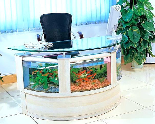 Other Office Fish Tanks Plain On Other Inside Aquarium Custom Process Fl Best 24 Office Fish Tanks