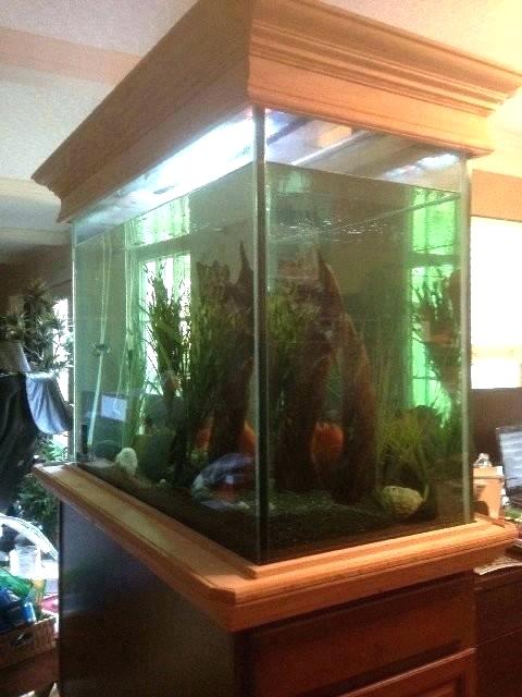 Other Office Fish Tanks Simple On Other Throughout Home Tank For Homemade Divider 27 Office Fish Tanks