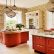 Kitchen Red Kitchen Wall Colors Delightful On Intended Painting Dark Brown For Walls Vision Fleet Painted 24 Red Kitchen Wall Colors