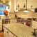 Stone Kitchen Countertops Excellent On With Regard To Which Go For Home N Gardening 4