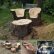 Tree Seats Garden Furniture Magnificent On Throughout Ideas Stunning Trunk 2