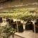 Other Basement Grow Room Design Brilliant On Other For Setup The Perfect Cannabis Videos 12 Basement Grow Room Design
