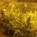 Other Basement Grow Room Design Fresh On Other Throughout Unusual THC Bomb Basements Ideas 25 Basement Grow Room Design
