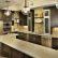 Basement Kitchen Design Charming On Intended New Construction Contemporary Chicago By Kristin 1