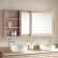 Bathroom Mirror Cabinets Modest On Pertaining To Best Medicine Buy And Put The 1