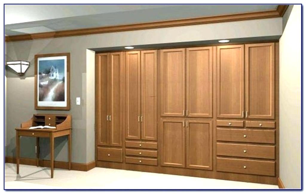  Bedroom Wall Closet Designs Simple On In Built Closets Marvelous Design 8 Bedroom Wall Closet Designs
