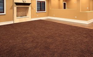 Brown Carpet Floor