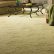 Floor Carpet Floor Beautiful On Regarding Impressive Flooring 12 Fresh 11 10 Carpet Floor