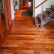 Floor Cherry Hardwood Floor Amazing On With Regard To Brazilian Floors ProSand Flooring 16 Cherry Hardwood Floor