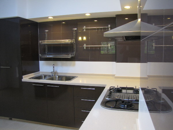 Kitchen Contemporary Style Kitchen Cabinets Nice On Amazing 14 Contemporary Style Kitchen Cabinets