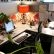  Decorate Office Cube Stylish On In Cubicle Decorations Decoration Ideas 19 Decorate Office Cube