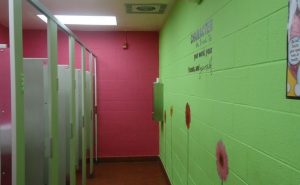 Elementary School Bathroom Design