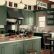Green Painted Kitchen Cabinets Ideas Delightful On In Pictures Rapflava 2