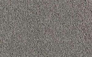 Grey Carpet Texture