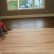 Hardwood Floor Stain Designs Creative On Regarding Best Color HARDWOODS DESIGN 4