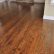 Floor Hardwood Floor Stain Designs Plain On With Colors For Red Oak Design HARDWOODS DESIGN 6 Hardwood Floor Stain Designs