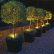 Other Ideas For Garden Lighting Imposing On Other Download Light Solidaria Beautiful Lights 16 Ideas For Garden Lighting