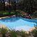 Other In Ground Swimming Pool Delightful On Other Inground Pools Oklahoma City Blue Haven 11 In Ground Swimming Pool
