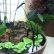 Other Indoor Rock Garden Ideas Lovely On Other Intended Small Unique Water 6 Indoor Rock Garden Ideas