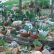 Other Indoor Rock Garden Ideas Remarkable On Other Pertaining To Cactus Design 29 Indoor Rock Garden Ideas