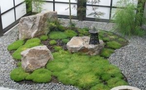 Indoor Rock Garden Ideas