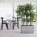 Interior Office Plants Creative On Inside We Are Committed To Delivering Beautiful Plant Solutions That 3