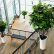 Interior Interior Office Plants Delightful On Intended For Choosing The Best Indoor Your Home Or 7 Interior Office Plants