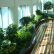 Interior Interior Office Plants Impressive On With Boma 15 Jpg 1000 750 Houseplants 9 Interior Office Plants