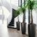 Interior Interior Office Plants Lovely On In Best 0 Design Ideas With HD 26 Interior Office Plants