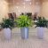 Interior Interior Office Plants Modern On And Indoor Landscaping In Boston MA 6 Interior Office Plants