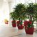 Interior Office Plants Modern On In And Plant Maintenance Atlanta Care 2