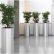 Interior Interior Office Plants Modest On Regarding Stunning And Flowers Buy Or Rent 23 Interior Office Plants